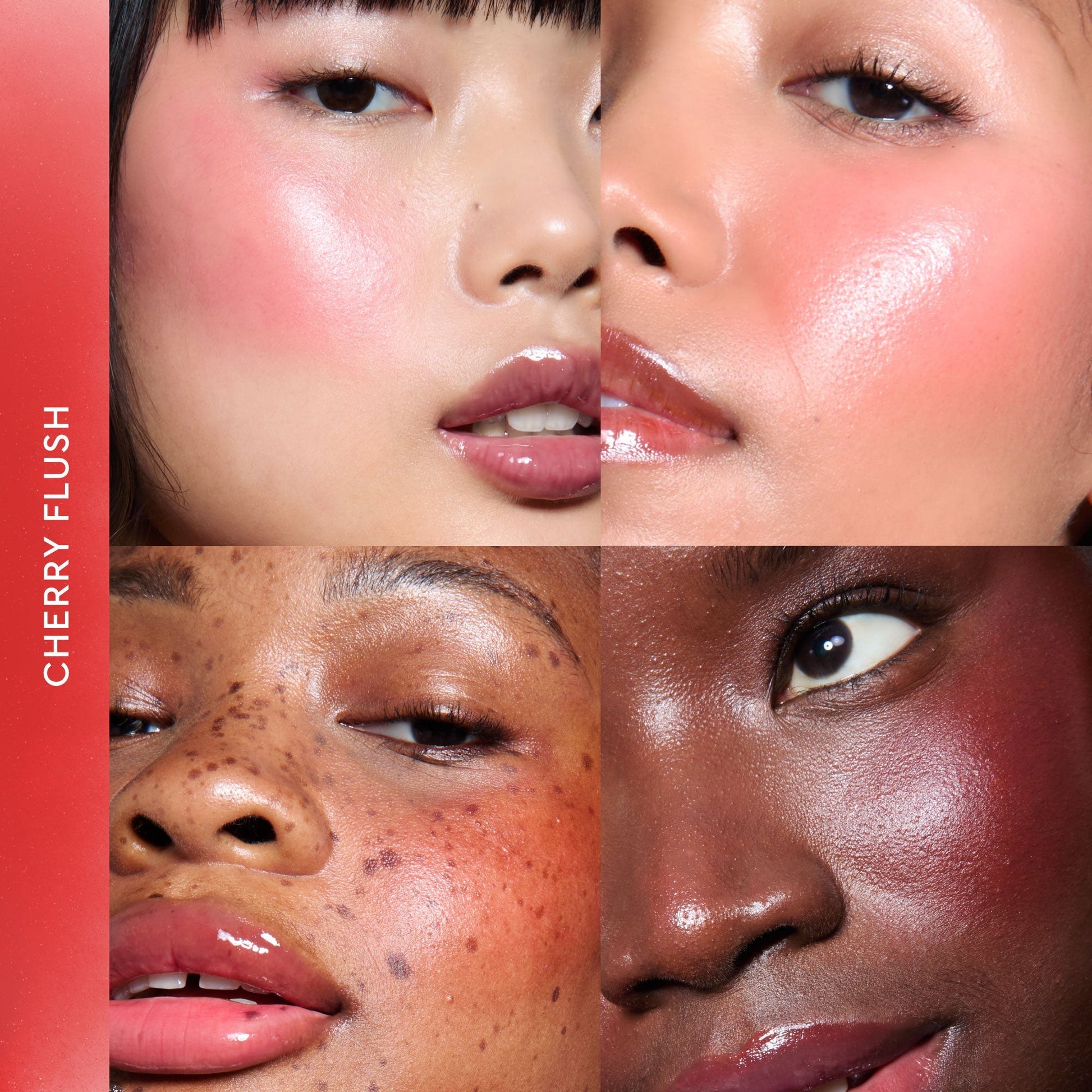 Lip & Cheek Kit